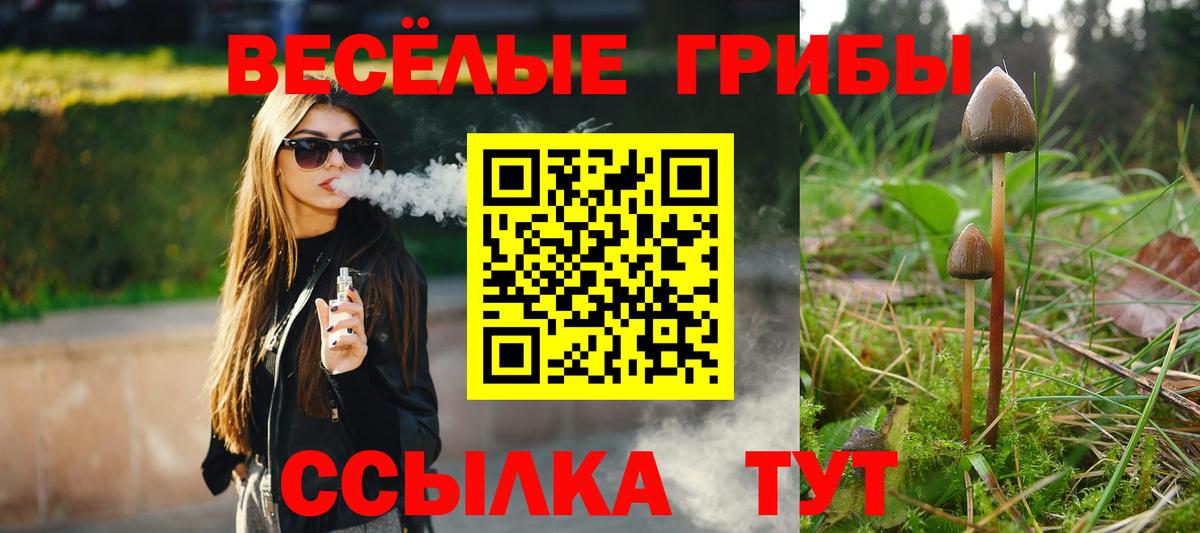 Можайск  Псилоцибиновые грибы Psilocybine cubensis  Галлюциногенные грибы Psilocybine cubensis  Вход с VPN 